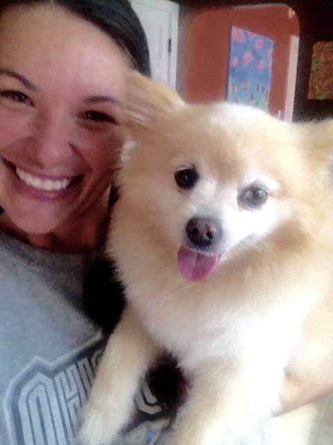 Found dog Lily reunited thru Pet FBI Facebook post