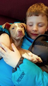 lost dog recovered held by child