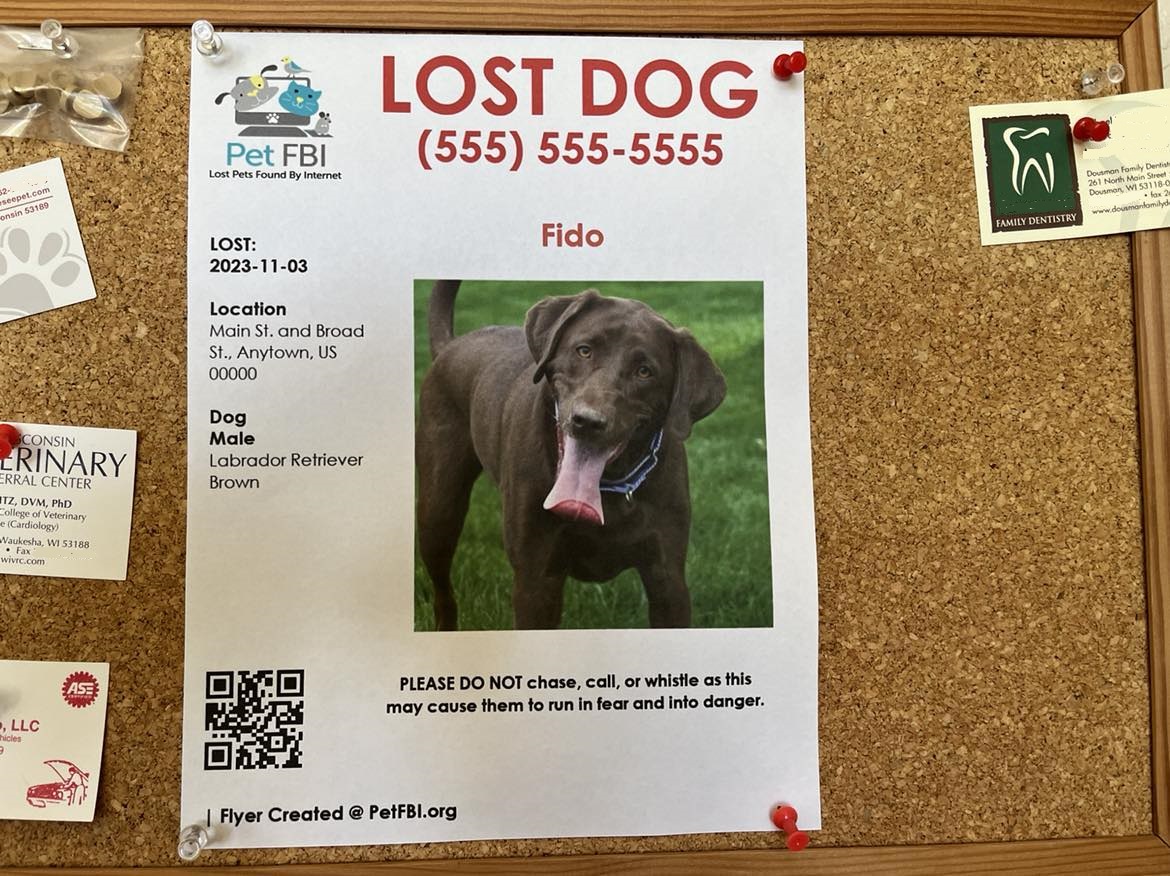 A lost dog flyer on a bulletin board