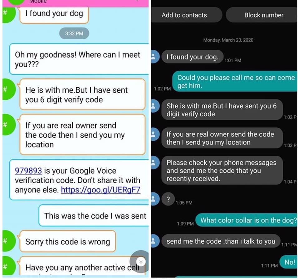 An example scammer asking for a Google Voice verification code over text message