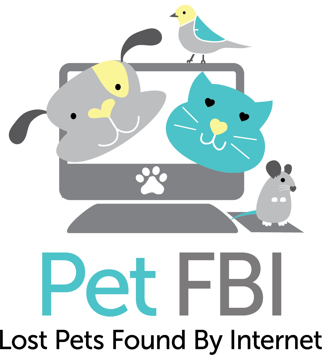 Submit a Report for a Lost or Found Pet Pets Found by