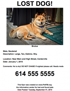 Flyer / Handout Created By Pet FBI Template