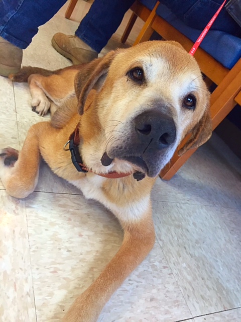 Baby at the Vet