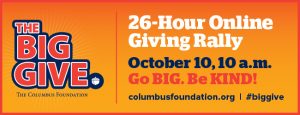 The Big Give 2017