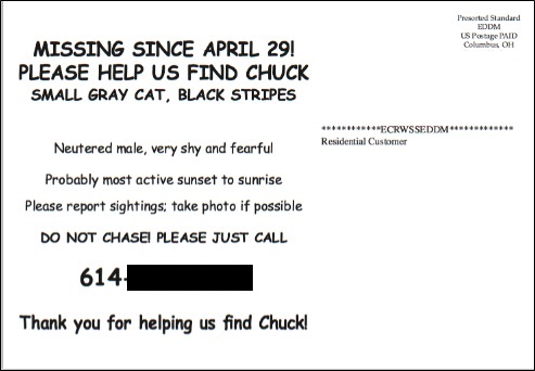 Chuck's Lost Poster Back